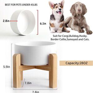 Petygooing 28 OZ White Elevated/Raised Ceramic Dog Bowl